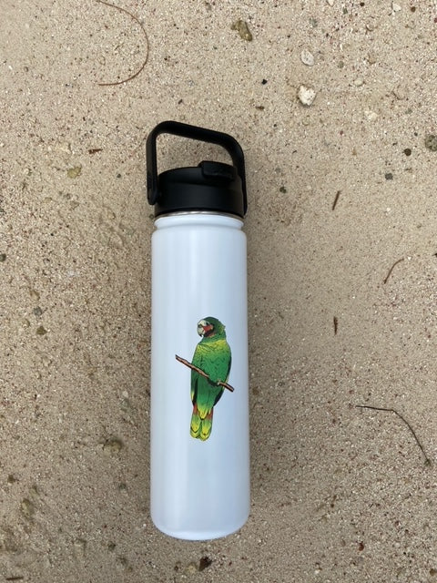 Water Bottle- Cayman Parrot