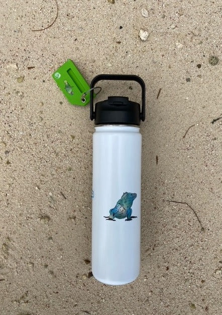 Water Bottle- Cayman Blue Iguana